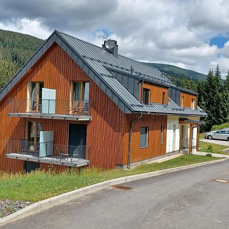 Apartman Pod Sjezdovkami Долні-Морава Екстер'єр фото