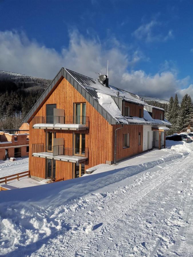 Apartman Pod Sjezdovkami Долні-Морава Екстер'єр фото