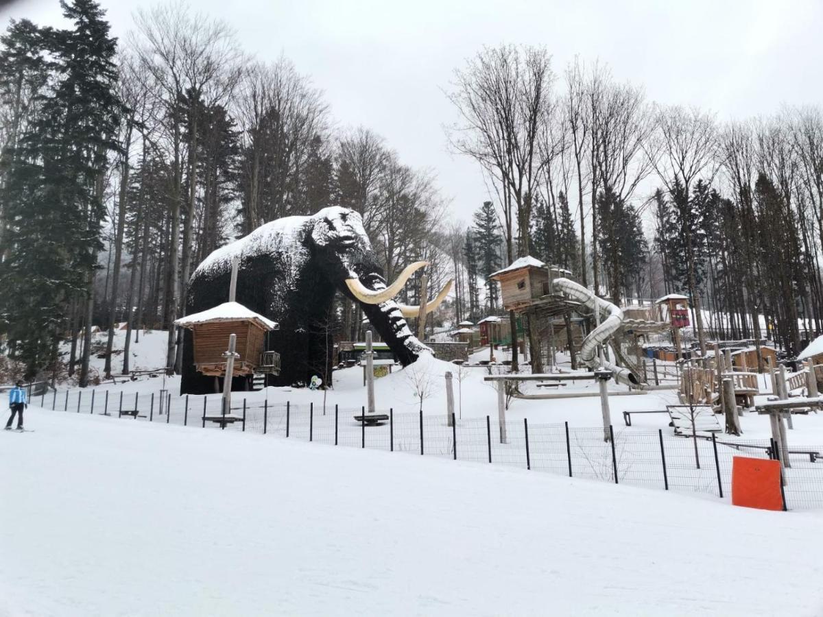 Apartman Pod Sjezdovkami Долні-Морава Екстер'єр фото